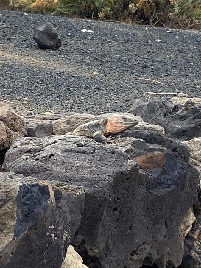Apartmán El Atico Del Mar 5B Las Palmas de Gran Canaria Exteriér fotografie